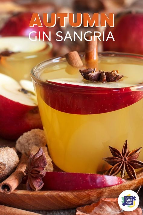 Gin Sangria with apple slices, a cinnamon stick and star anise Gin Sangria, Sloe Gin Cocktails, Autumn Cocktail, Sangria Cocktail, Espresso Martini Recipe, Apple Cocktail, Fall Cocktails Recipes, Toffee Nut, Seasonal Fruits