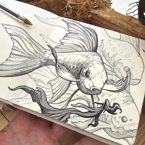 Amazingly detailed fish sketch 😍 @art.nights . Back to posting multiple times a day ❤ . Done by @dibujantenocturno . 💞Follow @art.nights 🎨 💞Follow @art.nights 🎨 💞Follow @art.nights 🎨 Check: @comediiposts . No copyright infringement intended. Contact for fix/removal . Use #foart1 or #artbynights for a possible feature #art #nawden #artofinstagram #artsy #artistic #artoftheday #artwork #dibujo #watercolorartist #sketchbook #sketching #fineart #pencilsacademy #instaartist #digitalart #... Fish Sketch, Fish Illustration, Fish Drawings, Desenho Tattoo, Arte Sketchbook, Arte Inspo, Art Drawings Sketches Creative, A Pen, Ink Illustrations