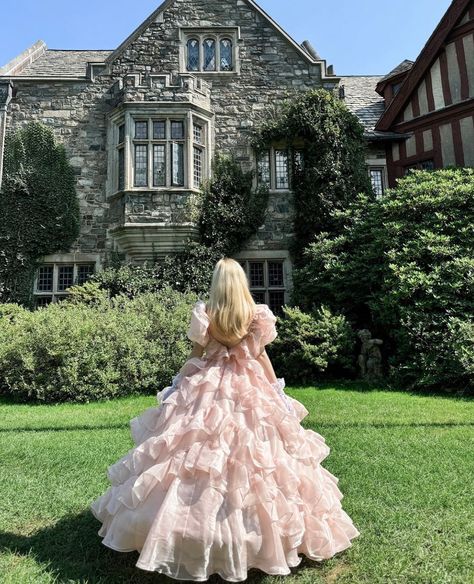 Pink Tulle Dress Aesthetic, Princess School Outfit, Pink Princess Outfit Aesthetic, Princess Odette Aesthetic, Pink Princess Aesthetic Dress, Pink Romantic Aesthetic, Royality Aesthetics, Pink Ballet Aesthetic, Royal Dresses Princesses