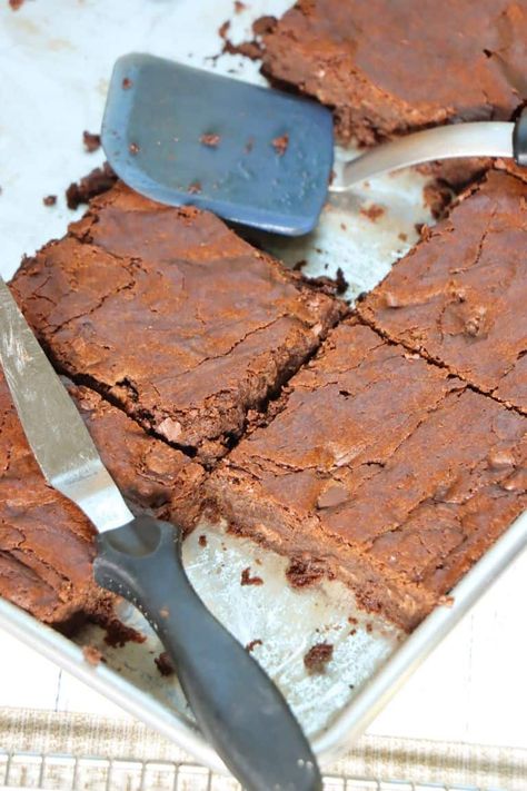 Ina Garten's Sheet Pan Brownies (aka Outrageous Brownies) - Eat the Bite Sheet Pan Brownies, Pan Brownies, Outrageous Brownies, Warm Chocolate, Chocolate Nuts, Chef Tips, Unsweetened Chocolate, Printable Recipe, White Flour