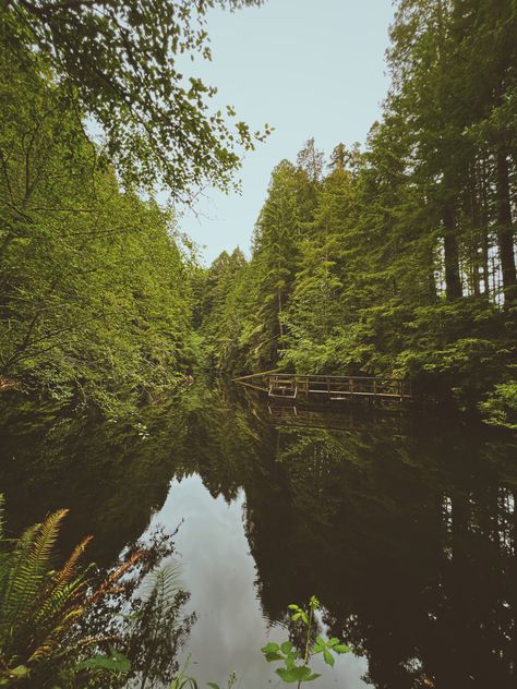 Humboldt County Aesthetic, Washington Twilight Aesthetic, Cal Poly Humboldt, Humboldt Redwoods State Park, Humboldt County Movie, Geology, Forest