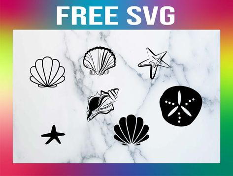 Free Sea Shell SVG Cut Files Svg Tutorial, Free Silhouette Cut Files, Butterflies Svg, Cricut Cards, Bunny Svg, Paper Flower Tutorial, Card Making Tutorials, Silhouette Free, Seashell Crafts