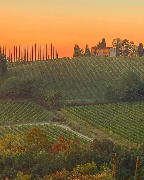 Italian Mansion Exterior, Vineyard Sunset, Wine Label Art, Italian Mansion, Italian Vineyard, Painting Mood, Vineyard House, Mansion Exterior, Winery Tasting Room