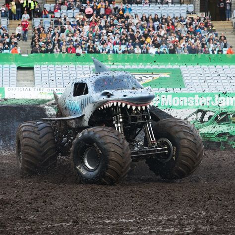 Shark Monster Truck, Shark Monster, Crazy Stunts, Monster Truck Rally, Big Monster Trucks, Head Sock, Monster Truck Party, Shark Themed, Love Monster