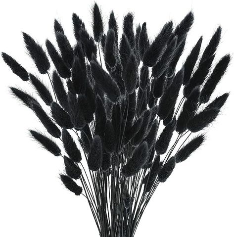 Amazon.com: Phliofd 100Pcs Bunny Tails Dried Flowers, Natural Dried Bunny Tails Grass Dried Lagurus Ovatus Rabbit Tail Grass for Flowers Arrangements DIY Craft Wedding Halloween Party Home Decor (Black) : Home & Kitchen Black Pampas Grass Decor, Farmhouse Flower Arrangements, Black Pampas, Lagurus Ovatus, Flower Arrangements Wedding, Rabbit Tail, Boho Party Decorations, Grass Decor, Pampas Grass Decor