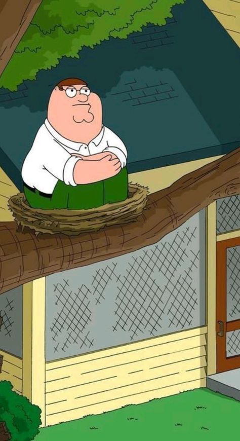 Peter Griffin Wallpaper, Adam West Family Guy, Peter Griffin Meme, Griffin Wallpaper, Peter Family Guy, Family Guy Cartoon, Family Guy Funny, Griffin Family, Stewie Griffin