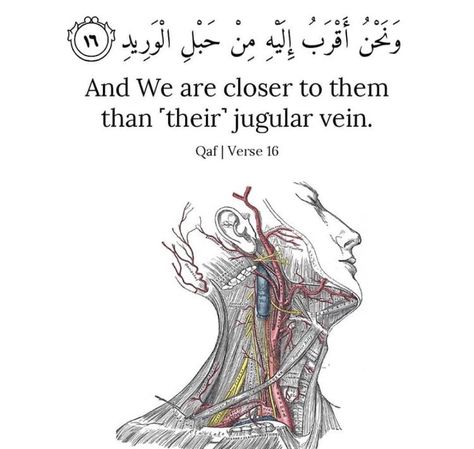 Jugular Vein, Coran Quotes, Short Islamic Quotes, Islam Beliefs, Muhammad Quotes, Pray Quotes, Ayat Al-quran, Message Quotes, Beautiful Quotes About Allah