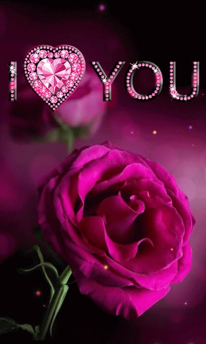 Wallpaper Mawar, Gif Rose, Roses Valentine, Rose Belle, Wallpaper Sky, Rose Flower Wallpaper, Good Morning Roses, I Love You Pictures, Flowers Gif