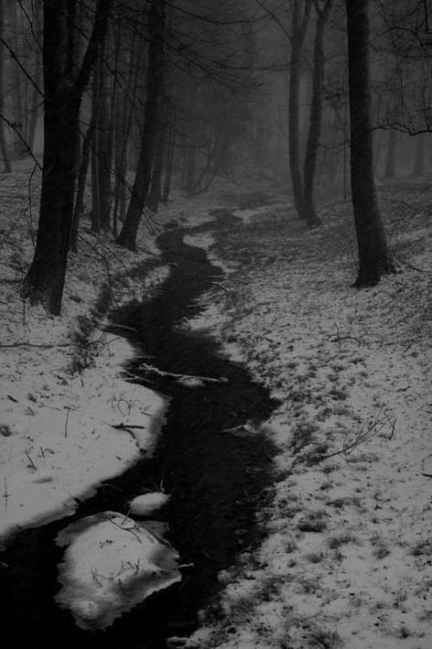 Era Victoria, Dark Naturalism, Winter Scenery, Dark Places, Dark Photography, Winter Aesthetic, Dark Forest, Nature Aesthetic, Winter Scenes