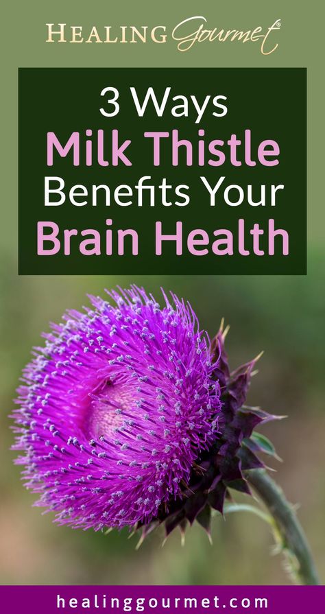 Protect Your Brain with This Herb Thistle Benefits, Benefits Of Milk Thistle, Milk Thistle Benefits, Nutritional Healing, Benefits Of Milk, Nutrition Diet, Brain Science, Carbohydrate Diet, Low Carbohydrate Diet