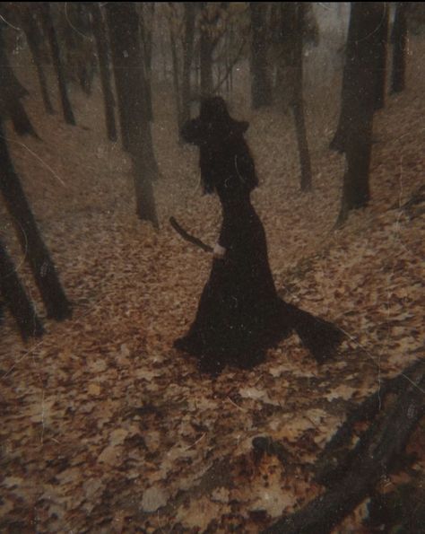 Dark autumn witchy fall aesthetic Autumn Witch, Witch Room, Witch Coven, Scary Halloween Costume, Dark Witch, Autumn Tree, Dark Autumn, Dark Cottagecore, Halloween Photoshoot