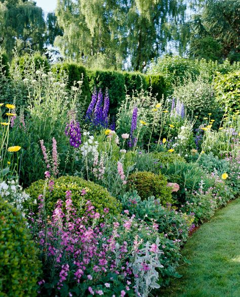 Cottage Garden Plan, Cottage Garden Borders, English Garden Design, Garden Plan, Cottage Garden Design, Cottage Garden Plants, English Cottage Garden, Summer Cottage, Garden Landscape Design