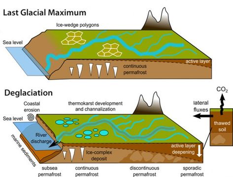 When Permafrost Melts, What Happens to All That Stored Carbon? Ap Environmental Science, Climate Warming, Carbon Cycle, Hiding In Plain Sight, Arctic Sea, Protect Nature, Arctic Ocean, Climate Crisis, Science Resources