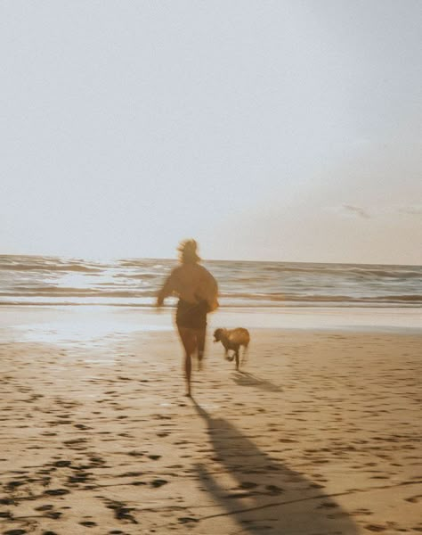 Dog On A Beach, Dog At The Beach Aesthetic, Beach With Dog Pictures, Dog Beach Photography, Running With Dog Aesthetic, Dog Beach Aesthetic, Dog Walks Aesthetic, Walk With Dog Aesthetic, Dog Beach Pictures