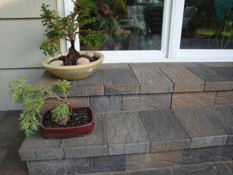 Paver Steps To Patio, Patio Step, Circle Patio, Types Of Lights, Paver Steps, Patio Stairs, Front Door Steps, Small Outdoor Patios, Patio Remodel