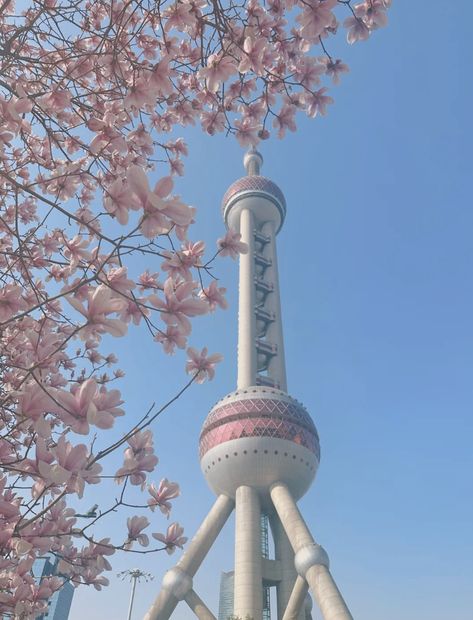 Pink China Aesthetic, Chengdu Pink, Chinese Culture Aesthetic, Shanghai Aesthetic, China Aesthetic, Culture Aesthetic, China City, Pink China, Pink Magnolia