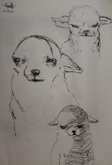 Puppy Reference, Sketch Dog, Funny Dog Drawing, Two Dogs Drawing, Funny Dog Drawings, Dog Drawing Doodle, Doodle Dog Drawing, Silly Little Drawings, Drawings Of Dogs