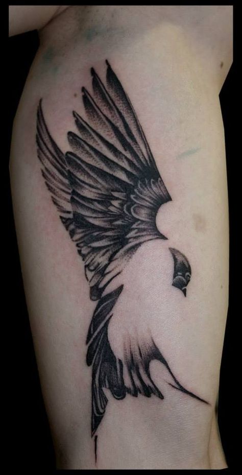 Swallow Tattoo Design, Inner Bicep Tattoo, Inkbox Tattoo, Swallow Tattoo, Bicep Tattoo, Bird Drawings, Tattoo Design, Tattoo Ideas, Tattoo Designs