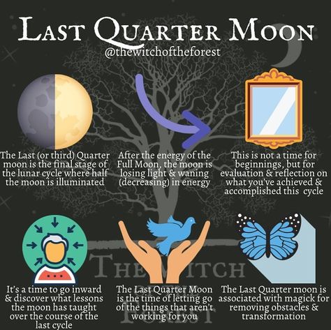 Moon Phases 2023, Moon Phases Meaning, Last Quarter Moon, Moon Madness, Moon Meaning, Lunar Magic, Quarter Moon, Moon Spells, Teen Witch