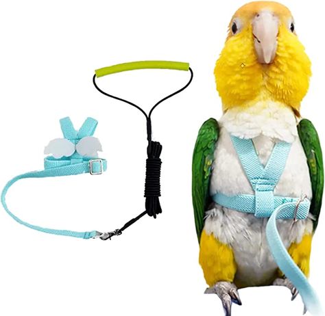 APPLICABLE: Budgerigar, Lovebird, Cockatiel, Myna, Green-cheeked Conure, Quaker, Sun Conure, Necked Parakket, Mynah, Mannikin, Finch Bird Harness, Conure Bird, Pet Parrot, Sun Conure, Animal Food, Bird Flying, Outdoor Training, Parrot Bird, Birds Flying