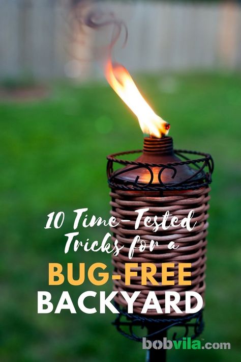 10 time tested tricks for a bug free backyard Landscaping Backyard Ideas, Pretty Patios, Affordable Backyard Ideas, Yard Inspiration, Landscaping Backyard, Vertical Vegetable Garden, Bug Killer, Pool Life, Backyard Picnic