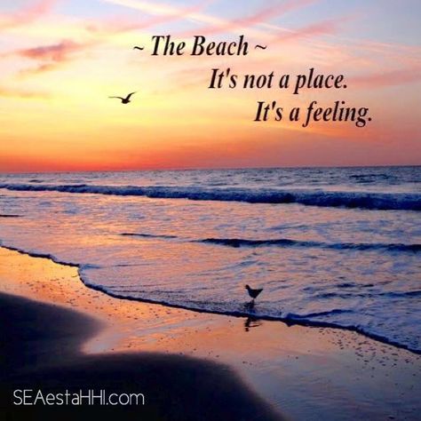 The beach is not a place. It's a feeling. Tumblr Best Friends, Coastal Pictures, Myrtle Beach Vacation, Ocean Quotes, Beach Images, I Love The Beach, Beach Quotes, Beach Signs, Beach Living