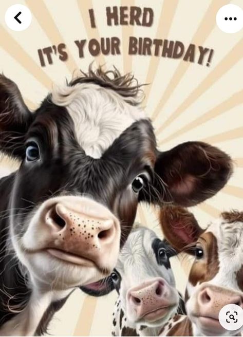 Cow Sayings, Happy Birthday Cow, Funny Cows, Cow Quotes, Funny Happy Birthday Wishes, Cartoon Frog, Birthday Card Sayings, Happy Birthday Art, Happy Birthday Greetings Friends