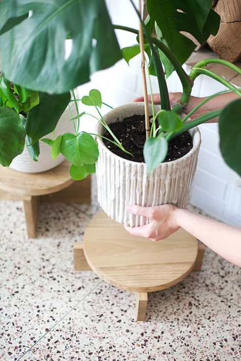 DIY Modern Wood Plant Stand Support Pour Plante, نباتات منزلية, Wood Plant Stand, Diy Plant Stand, Diy Holz, Woodworking Jigs, Diy Planters, Diy Plants, Décor Diy