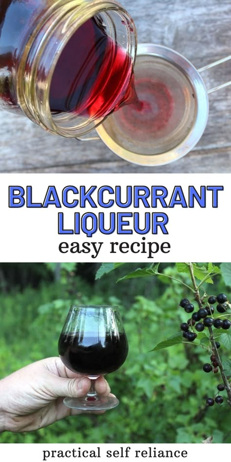 Black Currant Benefits, Black Currant Recipes, Preserving Fruit, Currant Recipes, Preserving Vegetables, Homemade Liquor, Liquor Recipes, Backyard Gardens, Liqueurs Recipes