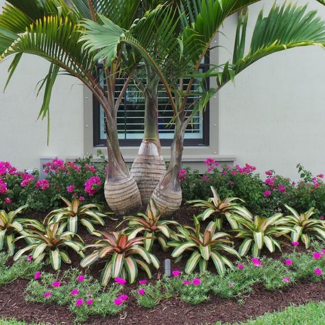 Miami Landscaping Pros Share 10 Creative Front Yard Ideas - Cozyhome 101 Miami Landscaping, Front Door Landscaping, Front Yard Ideas, Amazing Landscaping Ideas, Front Yard Landscaping Pictures, Florida Landscaping, Garden Pond Design, Small Front Yard Landscaping, Minimalist Garden