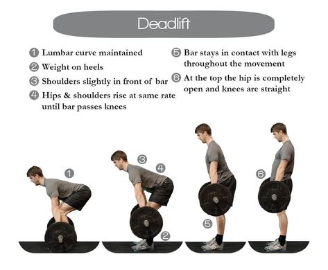 Muscular Strength Exercises, How To Get Muscles, Deadlift Form, Barbell Deadlift, Workout Program Gym, Build Muscle Fast, Gym Workout Chart, All Body Workout, Gym Workouts For Men