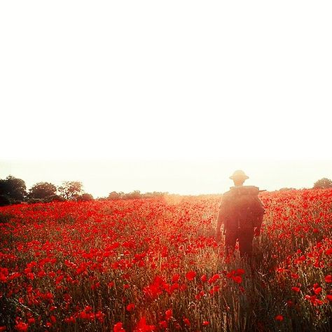 Atonement Everything Was Beautiful And Nothing, Least We Forget, Max Brown, Ww1 Art, Soldier Silhouette, Air Force Wife, Ww1 Soldiers, Flanders Field, Armistice Day