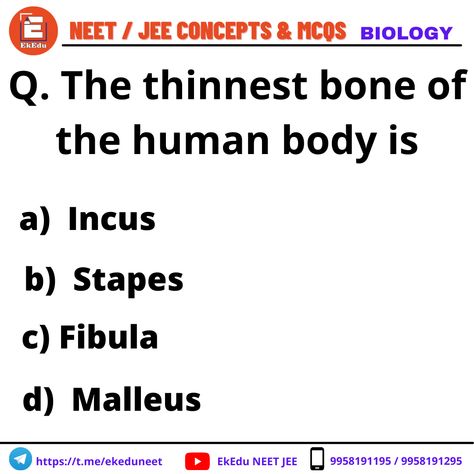 Are you preparing for the NEET 2021-22?. Let's solve these Biology questions and test your IQ. These Questions are Listed by the Experts and comment on the correct answer. Explore for more NEET Biology questions👇👇👇👇👇 To Join Our Courses Fill This Form: https://eklavyacentre.hubspotpagebuilder.com/neet-jee... . . . . . . . . . . #neetpreparation #neet2021 #neetcoaching #questionoftheday #questionschallenge #neetbiology #biology #bio #ekedu Neet Questions Biology, Neet Questions With Answers, Neet Biology, Iq Test Questions, Neet Notes, Test Your Iq, Test For Kids, Study Biology, Biology Facts