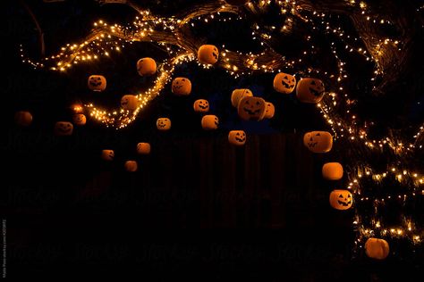 Jack O Lantern Wedding, Jack O Lantern Tree, Hanging Jack O Lantern, Floating Jack O Lanterns, Lanterns Hanging From Trees, Lanterns In Trees, Tree Halloween Decorations, Halloween Ceiling, Event Activations