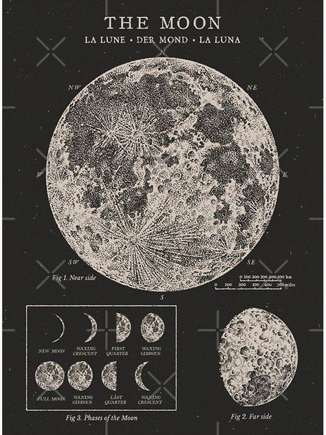 25 Aesthetic, Vintage Astronomy Prints, Celestial Chart, Moon Chart, Moon Phases Art, Wallpaper Moon, Grunge Posters, Astronomy Pictures, Astronomy Art