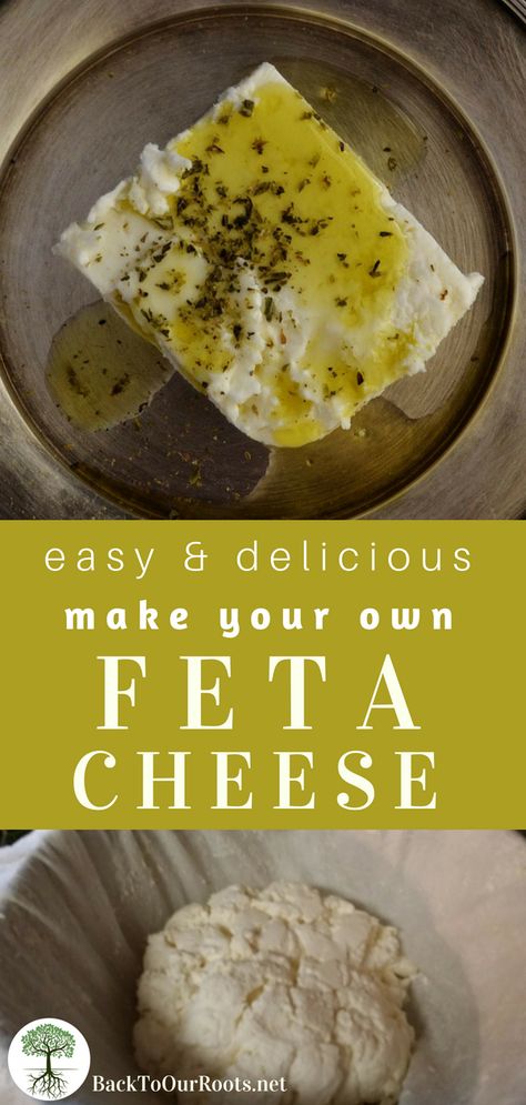 HOMEMADE FETA CHEESE: Feta is one of the easiest cheeses to make and it doesn't need special equipment. Salty, tangy, delicious. Make some today! Make Feta Cheese, Homemade Feta Cheese, Homemade Feta, Cheese Recipes Homemade, Cheese Making Recipes, Cheese At Home, Goat Milk Recipes, Diy Cheese, Queso Feta