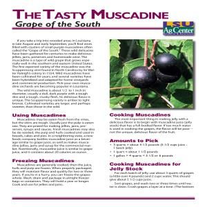 The Tasty Muscadine - Grape of the South Muscadine Recipe, Preserves Recipes, Concord Grape Jelly, Dancing Competition, Grape Growing, Snoring Solutions, Wine Book, Wine Gift Set, Grow System