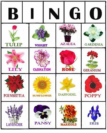 Flower Bingo is a great game to play with all your seniors who love gardening. A PDF file is available to download all the Bingo cards. Trivia Board, Free Printable Bingo Cards, April Activities, Flower Games, Ladybug Crafts, Bingo Cards Printable, Crafts For Seniors, Bingo Printable, Flower Names