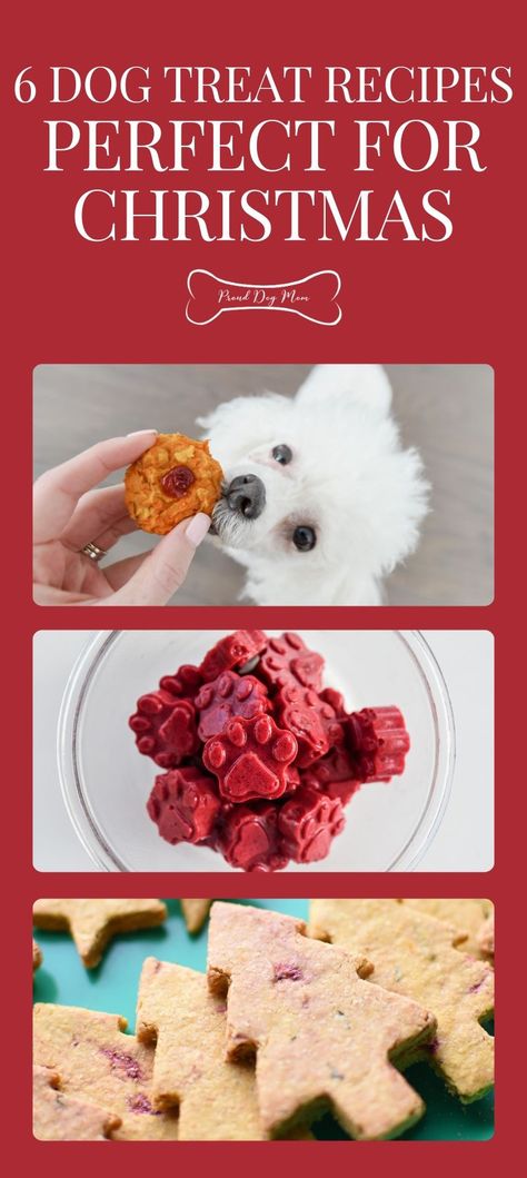 Holiday Dog Treats Homemade, Best Dog Treat Recipes, Diy Dog Treats Christmas, Christmas Cookies For Dogs Recipe, Homemade Dog Christmas Gifts, Homemade Dog Christmas Treats, Winter Dog Treats Homemade, Xmas Dog Treats, Easy Christmas Dog Treat Recipes