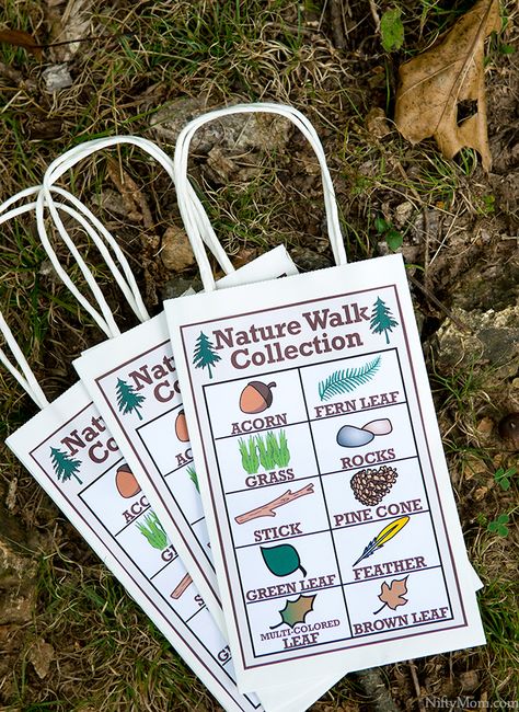 Nature Walk Preschool Free Printable, Nature Walk For Preschoolers, Nature Prek Activities, Preschool Nature Walk Activities, Nature Ideas For Preschoolers, Preschool Nature Walk, Nature Theme Kindergarten, Nature Walk Scavenger Hunt Preschool, Nature Walk Ideas Preschool