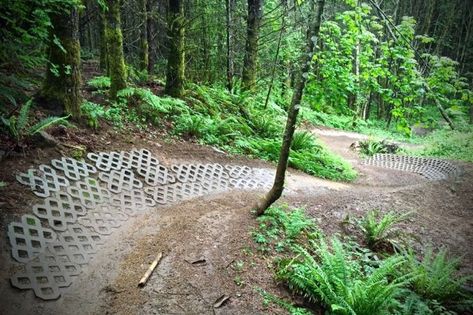 Bike Pump Track, Dirt Bike Track, Trail Building, Mountain Biking Quotes, Bike Workout, Pump Track, Folding Mountain Bike, Hardtail Mountain Bike, Mtb Trails