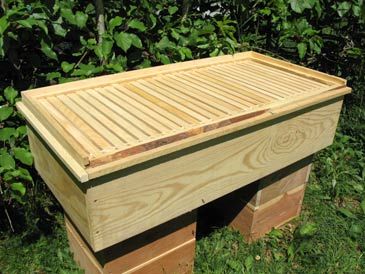 Ventilated Top | Long Langstroth Hive | Free Plans Langstroth Hive Plans, Top Bar Bee Hive, Langstroth Hive, Bee Hive Plans, Backyard Bee, Bee Houses, Bee Stuff, Flowers Tea, Bee House