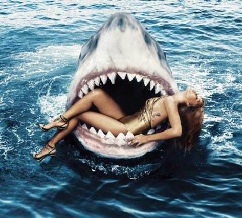 "When you're about to be eaten alive by a shark and your crush is watching " Harpers Bazaar Covers, Harley Quinn Halloween Costume, Harley Quinn Halloween, Shark Swimming, Fashion Magazine Cover, Harley Quinn Cosplay, Saint Michael, Rihanna Fenty, Shark Week