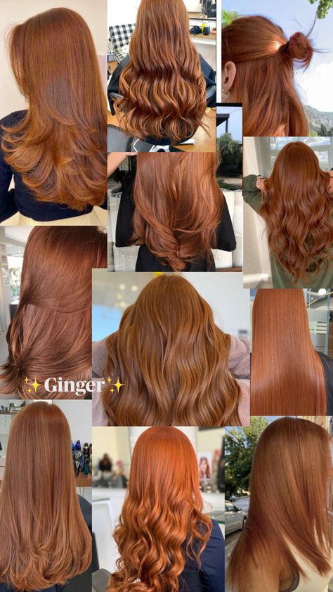 Ginger hair is the best😍 Fun Short Hairstyles, Butterscotch Hair, Light Auburn Hair Color, Haircut Tips, Light Auburn Hair, Cheveux Oranges, Women With Long Hair, Red Hair Inspo, Brown Hair Dye