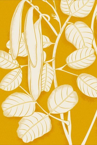 The Carob - Mediterranean Illustration #graphic #design Mediterranean Illustration, Fashion Trend Forecast, Illustration Graphic Design, Trend Forecasting, Illustrations And Posters, Malta, Abstract Artwork, Graphic Design, Pattern