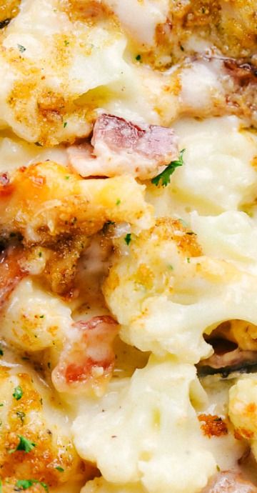 Creamy Cauliflower Au Gratin Cauliflower Au Gratin, Speedy Gonzales, Au Gratin Recipes, Cauliflower Dishes, The Recipe Critic, Recipe Critic, Creamy Cauliflower, Keto Side Dishes, Dinner Appetizers