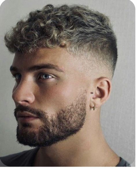 Men Haircut Styles Short Curly, Curly And Wavy Hairstyles Men, Mens Same Length Haircut, Wavy Perm Men Short Hair, Short Curly Haircuts Men Fade, Short Men Curly Haircut, Skin Fade Curly Hair Men, Mens Curly Fade, Faded Haircut For Men Curly Hair