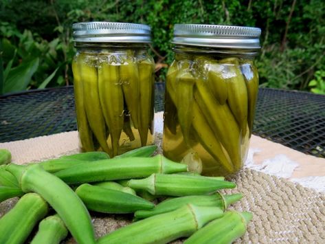 A Very Small Batch of Pickled Okra | beyondgumbo Pickles Okra, Canning Okra, Canning Pickled Okra, Pickle Okra, Canning Tomatoes Water Bath, Pickled Okra Recipes, Summer Canning, Quick Pickled Vegetables, Restaurant Salad