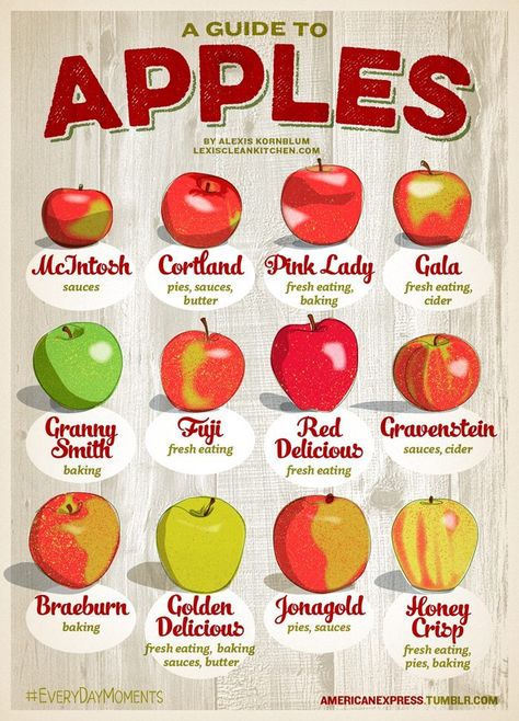 There is no better way to get into the fall spirit than cooking with apples. We've got you covered for our best Gluten Free Apple recipes! Apple Chart, Gluten Free Apple Recipes, Types Of Apples, Lexi's Clean Kitchen, Baking With Honey, Fruit Dip, Fall Apples, Good Eat, Food Info