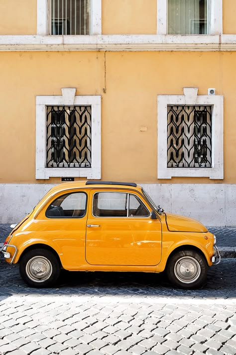 Yellow Fiat 500, Yellow Color Aesthetic, Vibe Yellow, Colourful Photos, Yellow Pictures, Yellow Stuff, Yellow Things, Yellow Photography, Photography Inspiration Nature